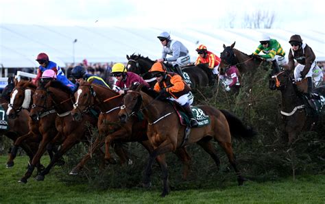 Grand National: Entries, runners & weights for 2024 race at Aintree .